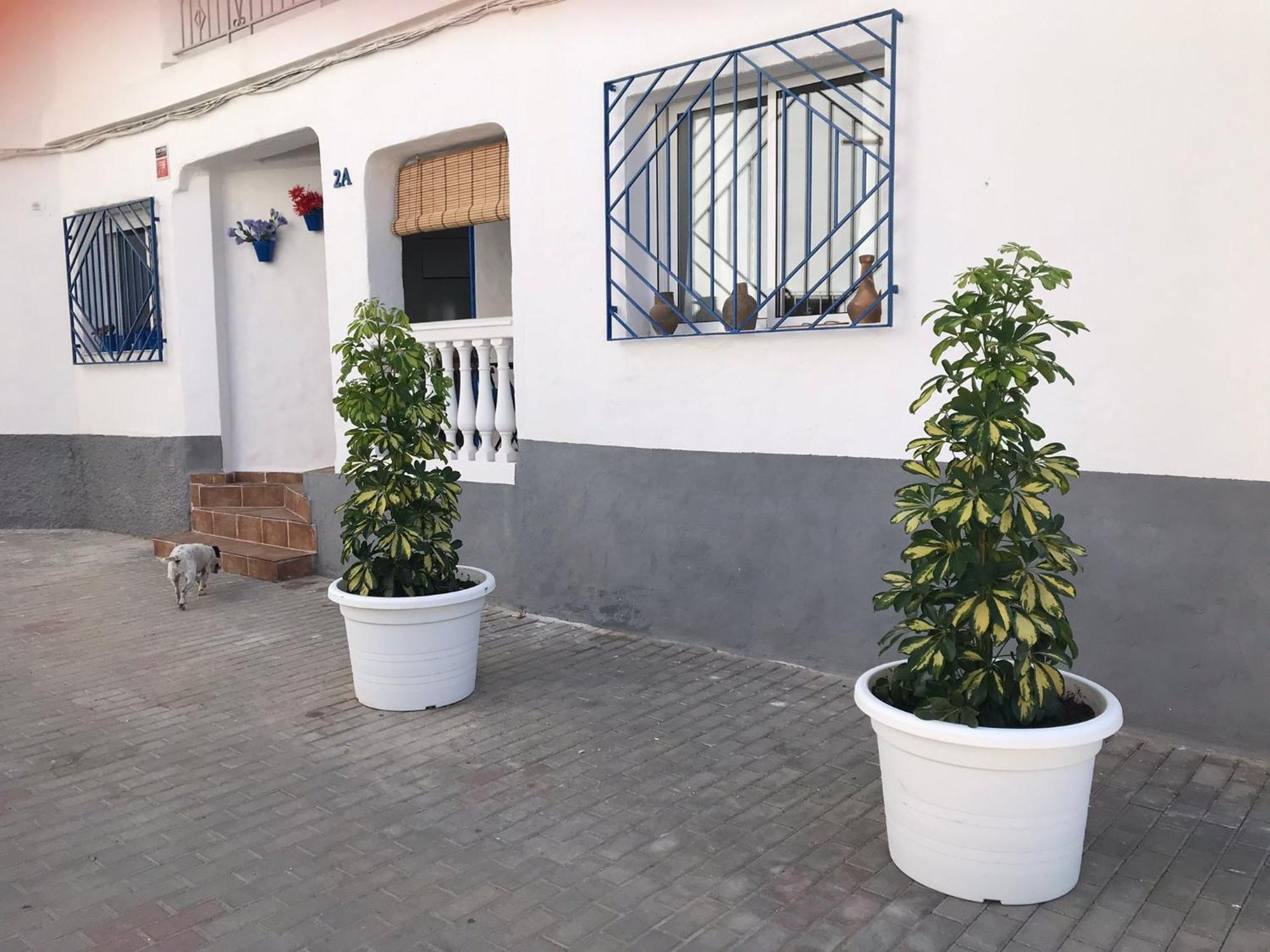 Apartamentos Lolitalola Holidays 살로브레나 외부 사진